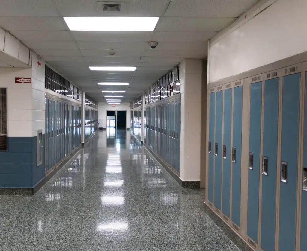 School Painters Dublin