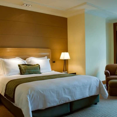 Hotel Painters Dublin